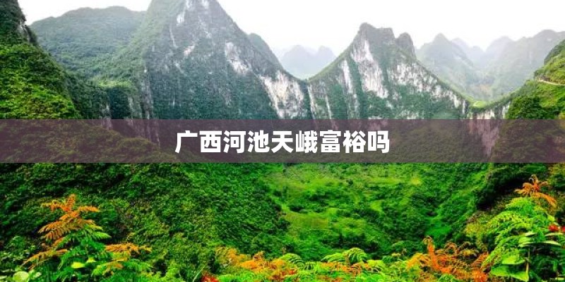 广西河池天峨富裕吗