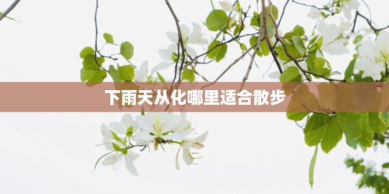 下雨天从化哪里适合散步