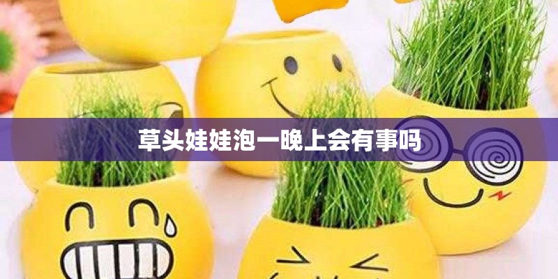 草头娃娃泡一晚上会有事吗