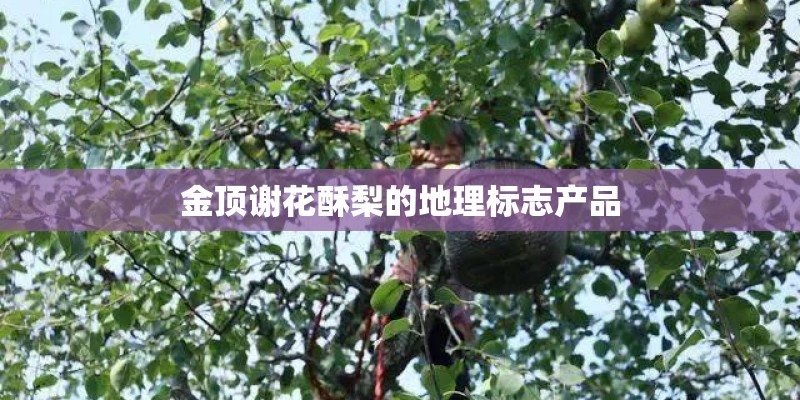 金顶谢花酥梨的地理标志产品