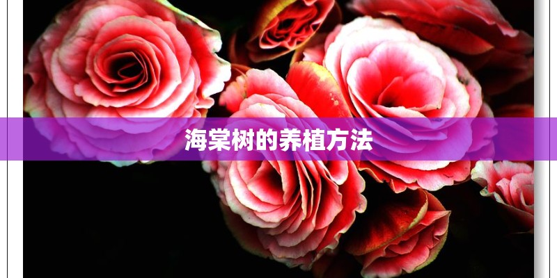 海棠树的养植方法 海棠树的养植方法