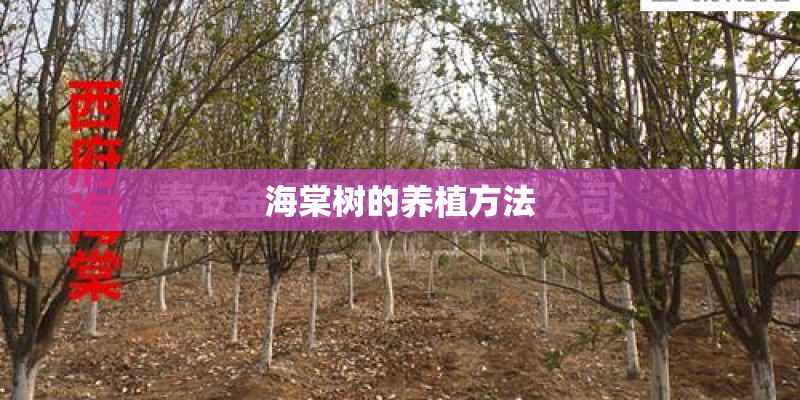 海棠树的养植方法 海棠树的养植方法