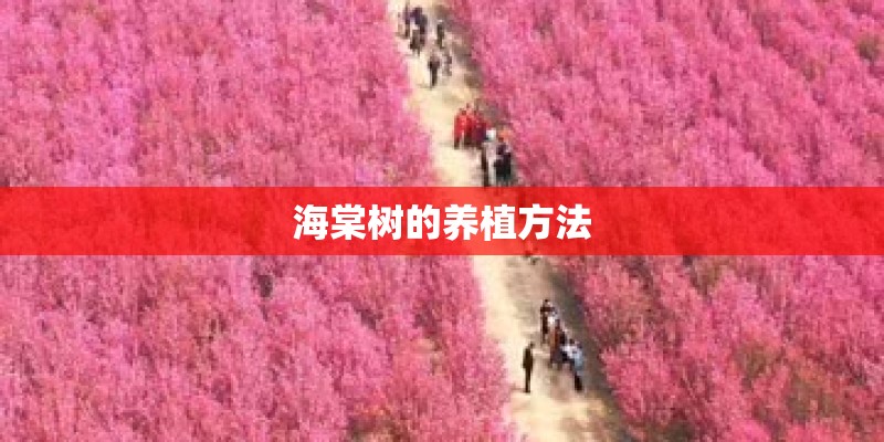海棠树的养植方法 海棠树的养植方法