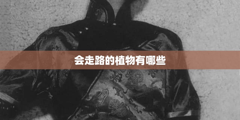 会走路的植物有哪些