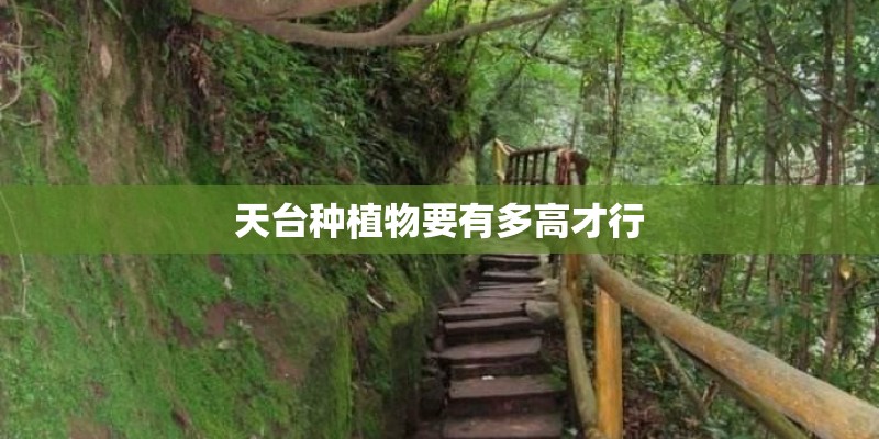 天台种植物要有多高才行