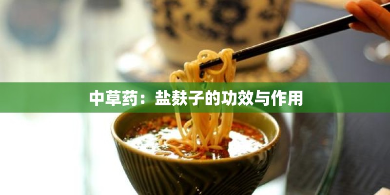 中草药：盐麸子的功效与作用