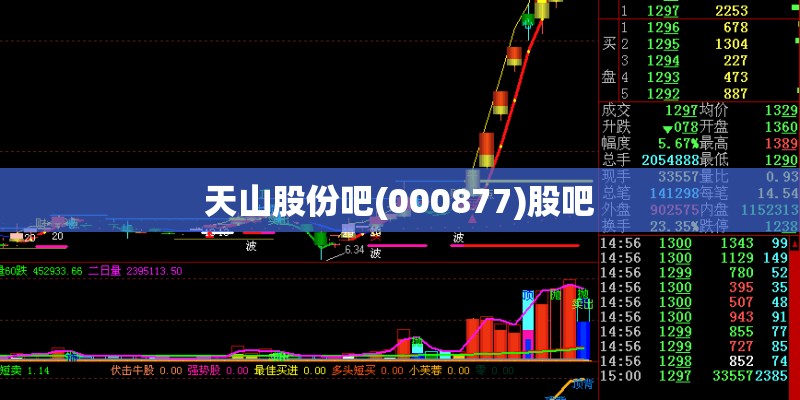 天山股份吧(000877)股吧 天山股份吧(000877)股吧