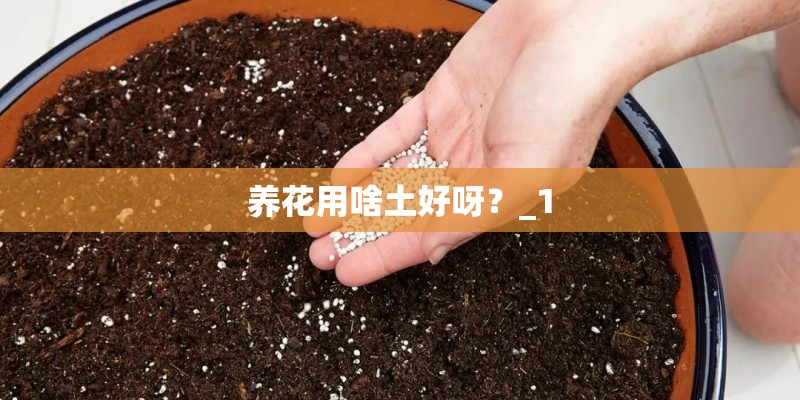 养花用啥土好呀？_1