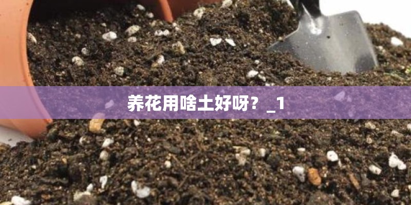 养花用啥土好呀？_1