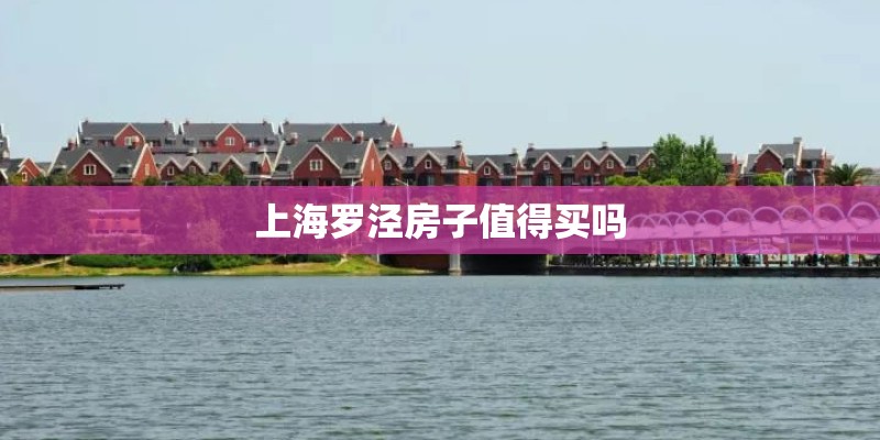 上海罗泾房子值得买吗