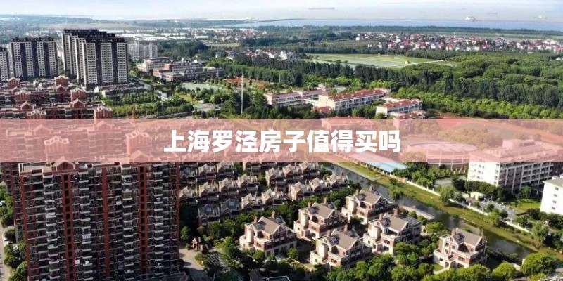 上海罗泾房子值得买吗