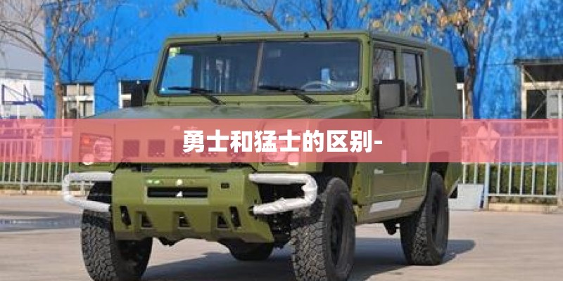 勇士和猛士的区别-