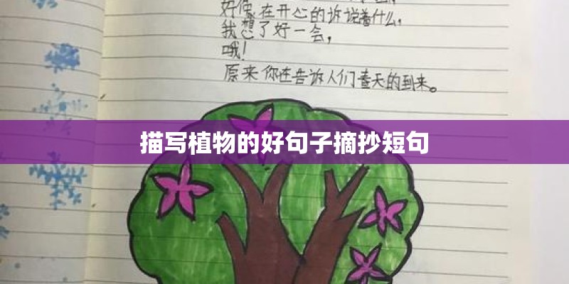 描写植物的好句子摘抄短句