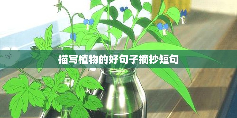 描写植物的好句子摘抄短句