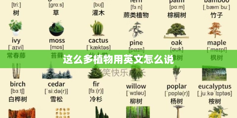 这么多植物用英文怎么说