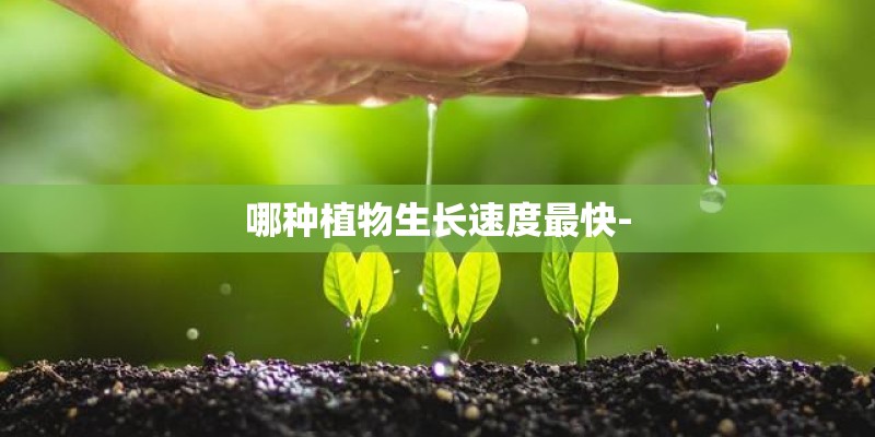 哪种植物生长速度最快-