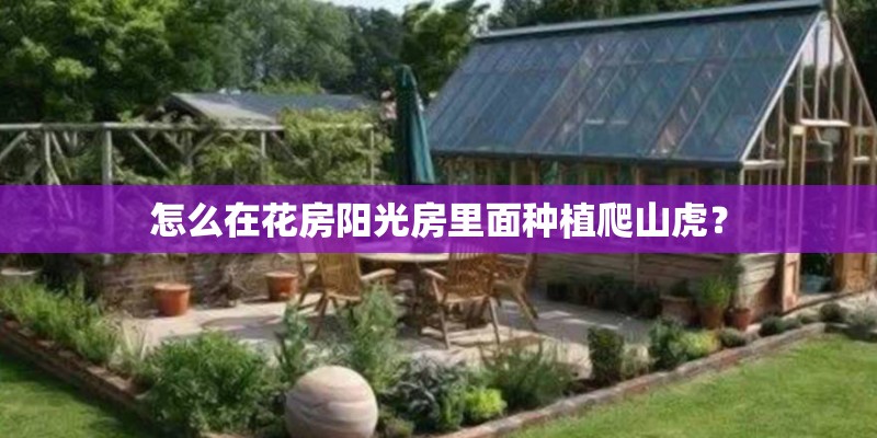 怎么在花房阳光房里面种植爬山虎? 怎么在花房阳光房里面种植爬山虎?