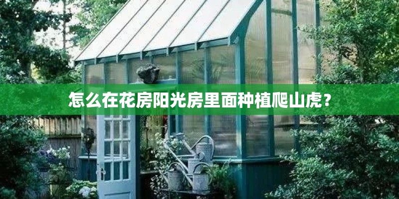 怎么在花房阳光房里面种植爬山虎? 怎么在花房阳光房里面种植爬山虎?