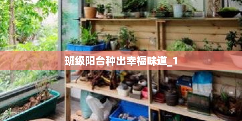 班级阳台种出幸福味道_1