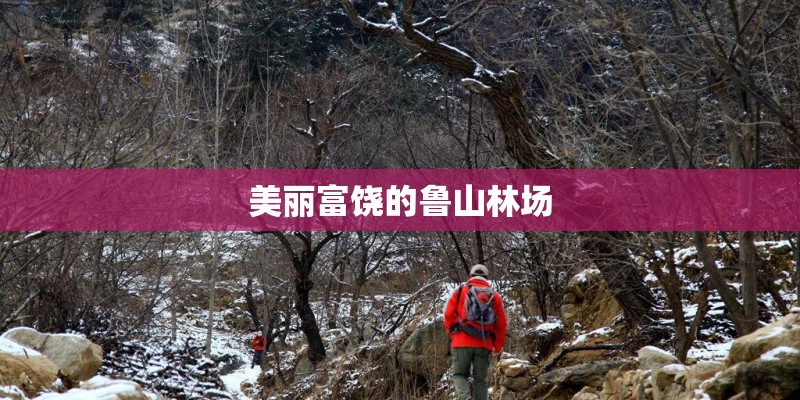 美丽富饶的鲁山林场
