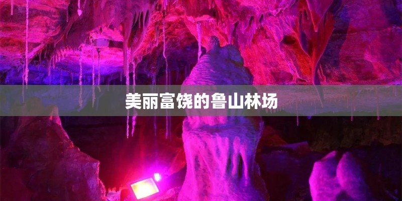 美丽富饶的鲁山林场