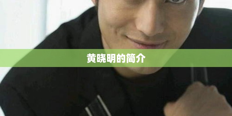 黄晓明的简介