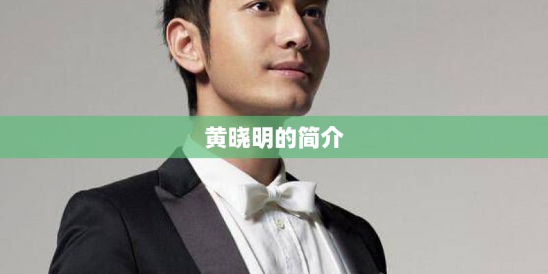 黄晓明的简介
