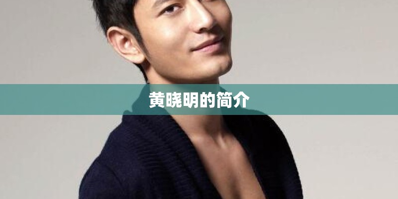 黄晓明的简介