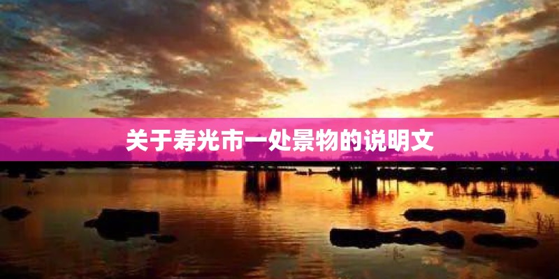 关于寿光市一处景物的说明文