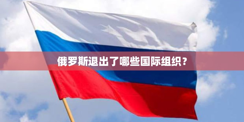 俄罗斯退出了哪些国际组织？