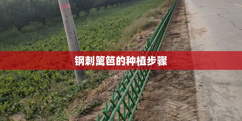 钢刺篱笆的种植步骤