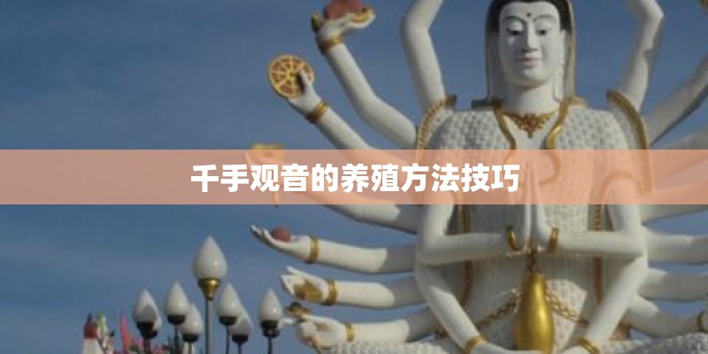 千手观音的养殖方法技巧
