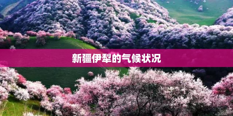 新疆伊犁的气候状况