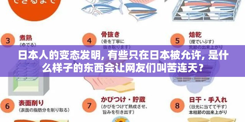 日本人的变态发明, 有些只在日本被允许, 是什么样子的东西会让网友们叫苦连天？
