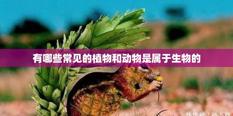 有哪些常见的植物和动物是属于生物的