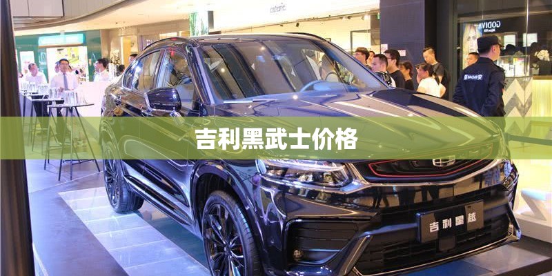 吉利黑武士价格