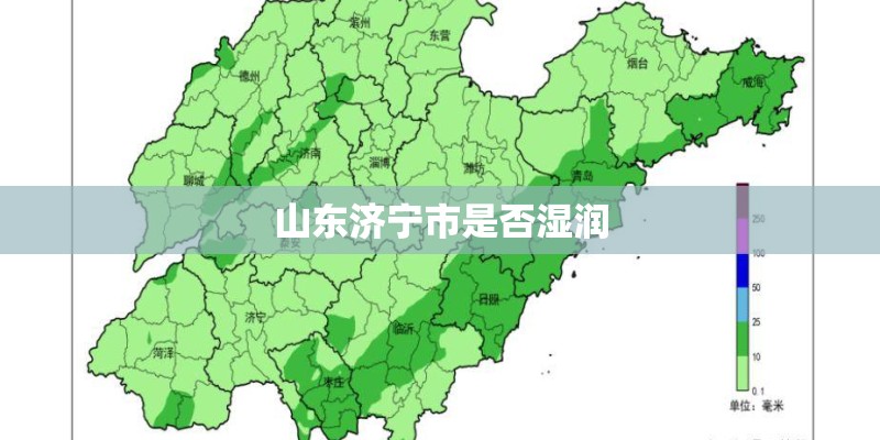 山东济宁市是否湿润