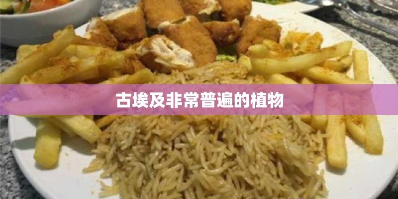 古埃及非常普遍的植物