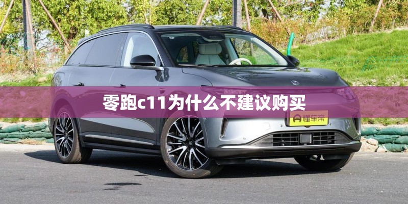 零跑c11为什么不建议购买