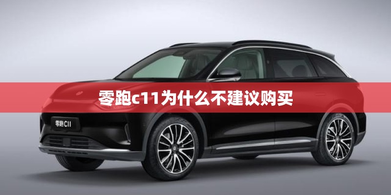 零跑c11为什么不建议购买
