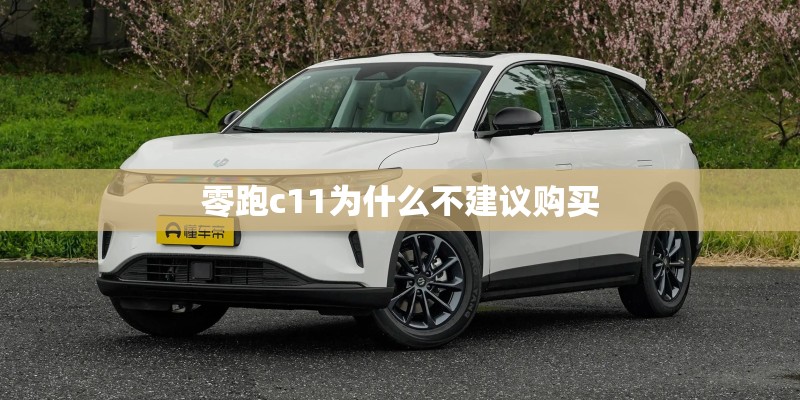 零跑c11为什么不建议购买