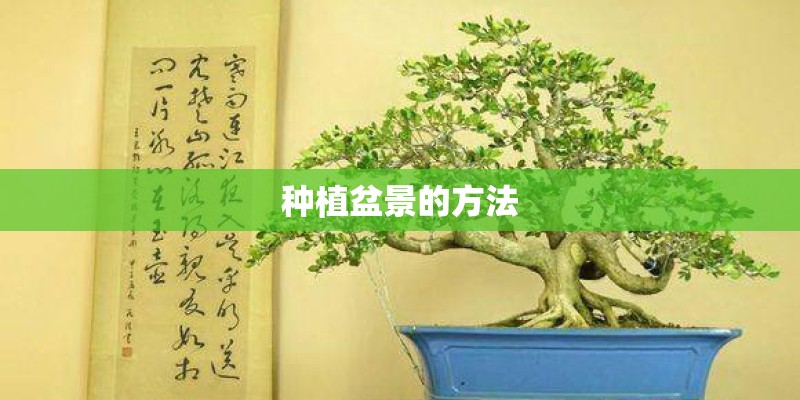 种植盆景的方法