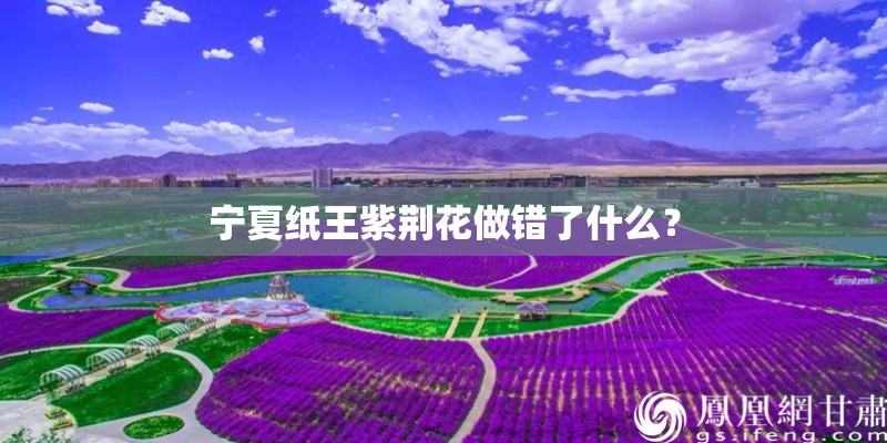 宁夏纸王紫荆花做错了什么？