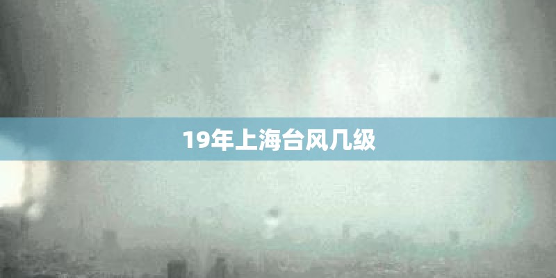 19年上海台风几级 19年上海台风几级