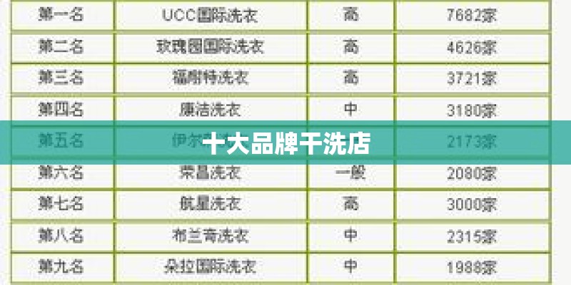 十大品牌干洗店
