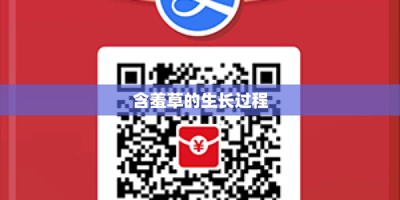 含羞草的生长过程