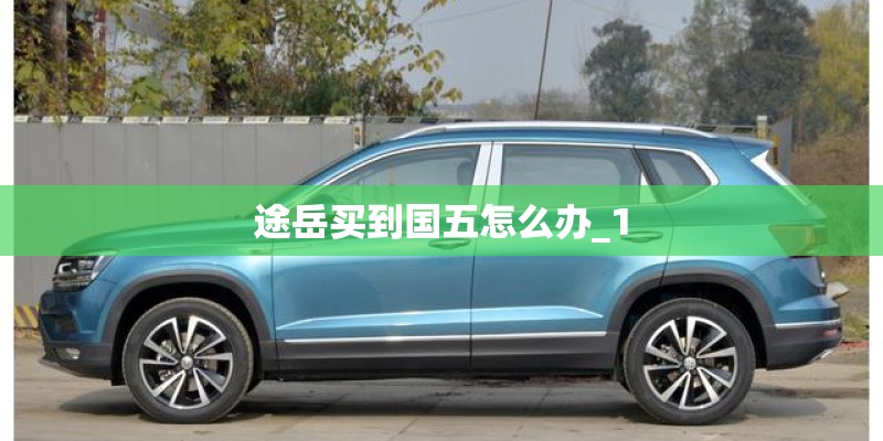 途岳买到国五怎么办_1