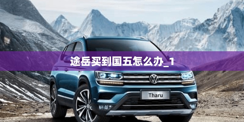 途岳买到国五怎么办_1