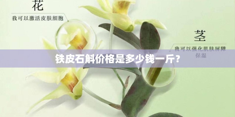 铁皮石斛价格是多少钱一斤? 铁皮石斛价格是多少钱一斤?