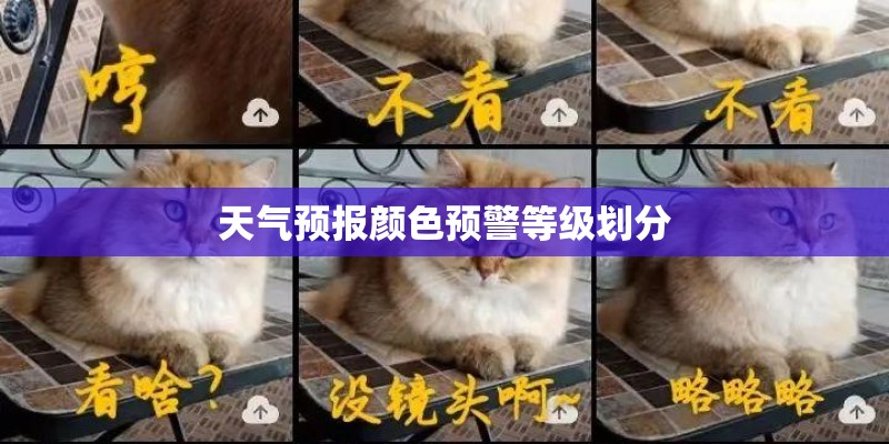 天气预报颜色预警等级划分
